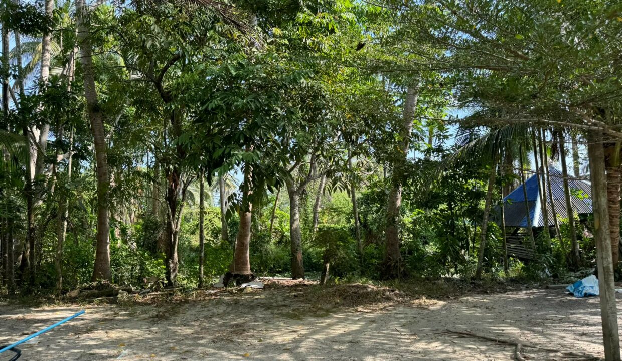 บ้านนครศรีธรรมราช (4)